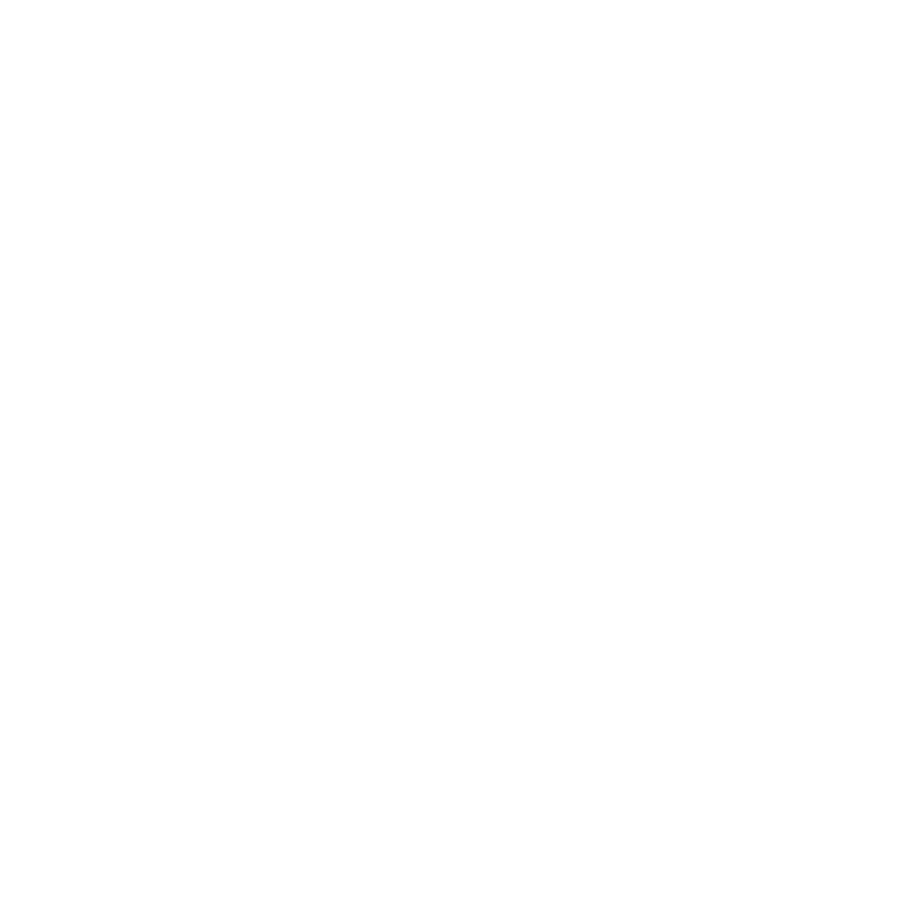 Paris RT white logo