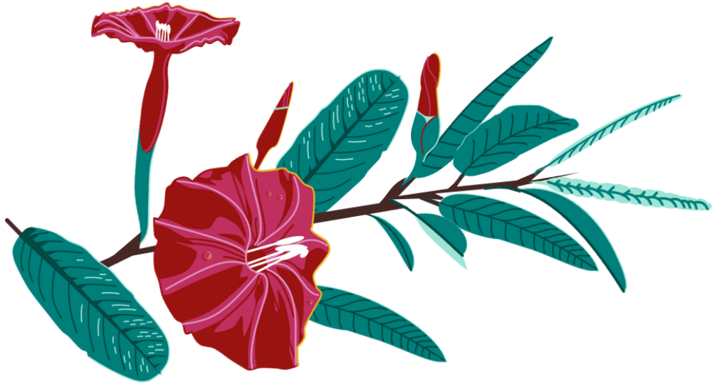 Carajás tall flower stem (1) An artistic depiction of the carajas flower with a stem and leaves.